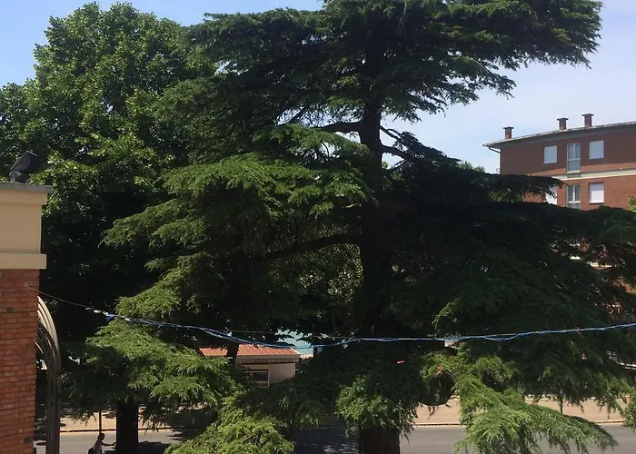 L'arco Di Charme ベッド・アンド・ブレックファスト パッシニャーノ・スル・トラジメーノ